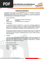 TDR ARQUEÓLOGO Docx1