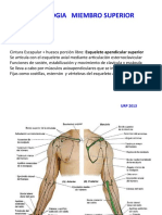 Clase2 - Osteología 2013