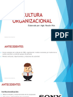 Cultura Organizacional