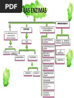 Mapa Enzimas