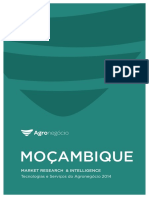 Mocambique Web