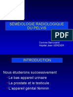 Semiologie Radiologique Du Pelvis