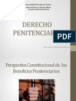 8 Derecho Penitenciario