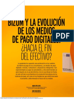 Bizum Evolucion Medios Pago Digitales