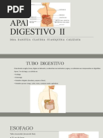 Digestivo II