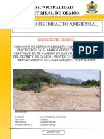 Impacto Ambiental FF