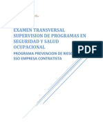 Et Supervisión Programas Sso I