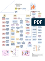 Mapa Conceptual de Aparato Reproductor Masculino