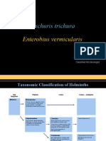 Trichuris Trichura: Enterobius Vermicularis