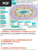 Antimicrobianos Farm Mat 2020