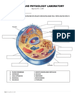 Cells and Tissues