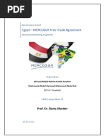 Egypt Mercosur Free Trade Agreement Team 11 PDF