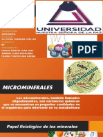 Presentación Microminerales