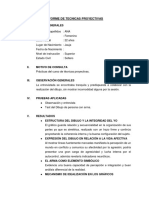 Informe de Pruebas Proyectivas Persona Con Arma