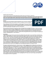 Gas Well Deliquification 2010