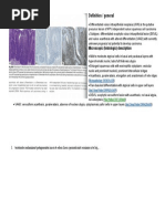 Definition / General: Microscopic (Histologic) Description