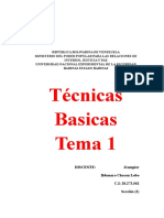 Técnicas Basicas Tema 1