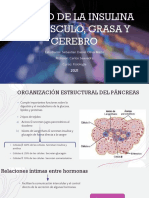 Seminario 2 Fisiología