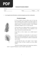 El Árbol de La Plata: Evaluación Formativa Unidad 4