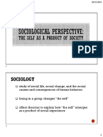 Sociological Perspectives