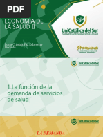 Funcion de Demanda de Servicios de Salud