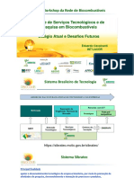 Apresentação Rede de Serviços Tecnológicox em Biocombustíveis INT