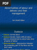 Abnormalities of Labour and Delivery and Their Management: Joó József Gábor