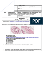 PLA Aula 2 Histoanatomia Ureter Bexiga