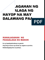 Kahalagahan NG Pag Aalaga NG Hayop Na May