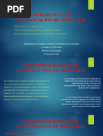 Informe Final de Investigación de Mercados