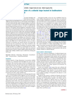 Behavior of A Colluvial Slope Located in Southeastern Brazil