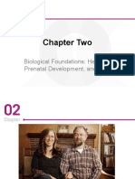 Chapter Two: Biological Foundations: Heredity, Prenatal Development, and Birth