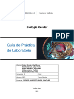  Guía de Práctica Semana 11. Señalización Celular 