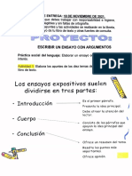 Español 3, Proyecto Escribir Un Ensayo Con Argumentos