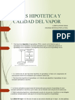 Rutas Hipotetica y Calidad Del Vapor