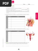 Taller Reproduccion Humana 5-01