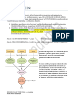 3 Ciclo de Krebs