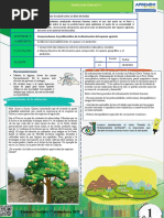 1º Sec Ccss. Exp-8 Actv. 02