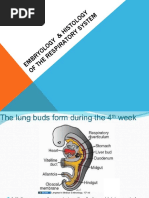 Embryology of The Respiratory System