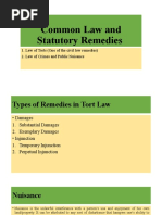 Common Law and Statutory Remedies