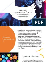 Pruebas Neuropsicologicas