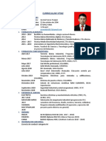 Curriculum Vitae 1