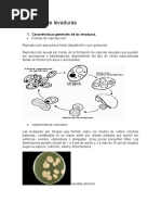 Practica 6 Fisiología de Levaduras