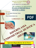 Exposicion Hiperplasia Endometrial Quistica (Heq)