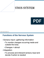 Nervous System: © 2012 Pearson Education, Inc