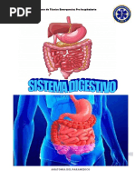 Sistema Digestivo Curso Teph