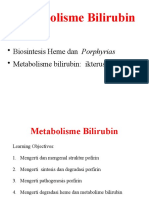 Metabolisme Bilirubin: - Biosintesis Heme Dan Porphyrias - Metabolisme Bilirubin: Ikterus: Jaundice