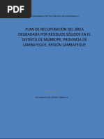 Plan de Recuperacion Del Area Degradada