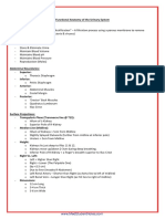 A&P - 2. Functional Anatomy of The Urinary System (9p)