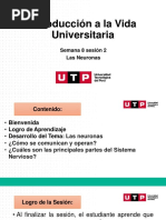 Diapositivas - S08.s2 - Las Neuronas